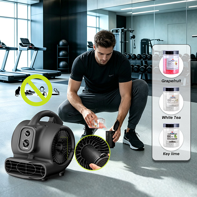 XPOWER P-250NT Mighty Scented Air Mover with Negative Ion Generator, Timer