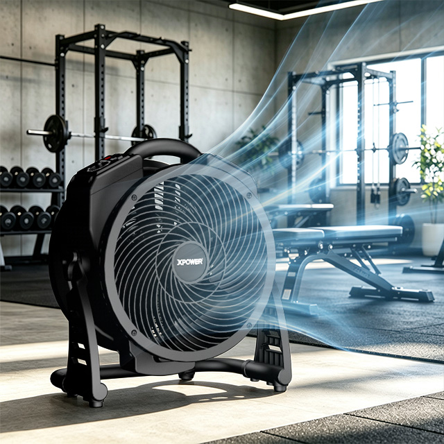 XPOWER M-25 Axial Air Mover With 5 G/H Ozone Generator
