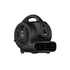 XPOWER P-250NT Mighty Scented Air Mover with Negative Ion Generator, Timer