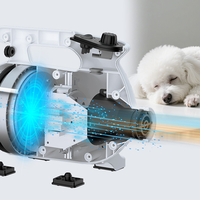 XPOWER B-24 Professional Variable Speed Heated Force Pet Dryer