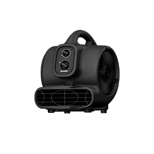 P-250NT