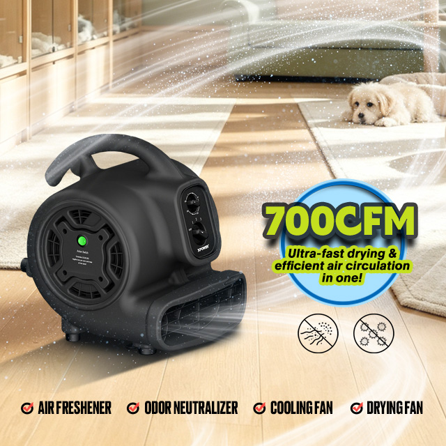 XPOWER P-250NT Mighty Scented Air Mover with Negative Ion Generator, Timer